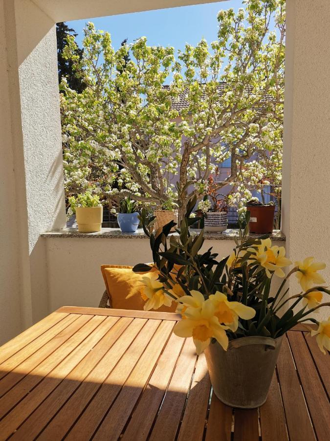 Apartman Soto Pirovac Esterno foto