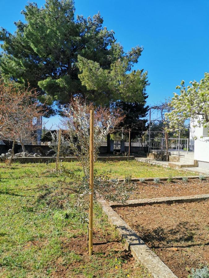 Apartman Soto Pirovac Esterno foto