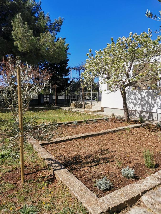 Apartman Soto Pirovac Esterno foto