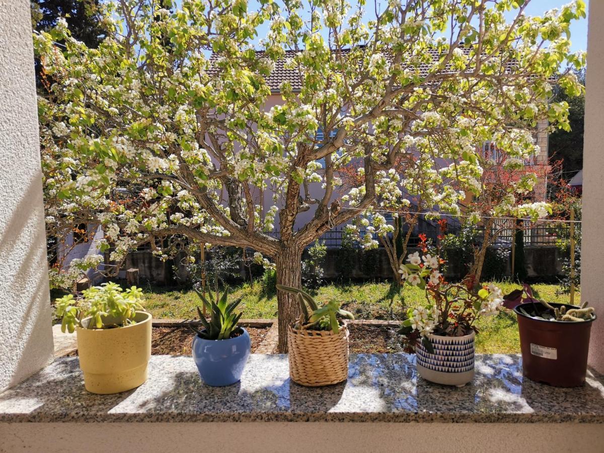 Apartman Soto Pirovac Esterno foto