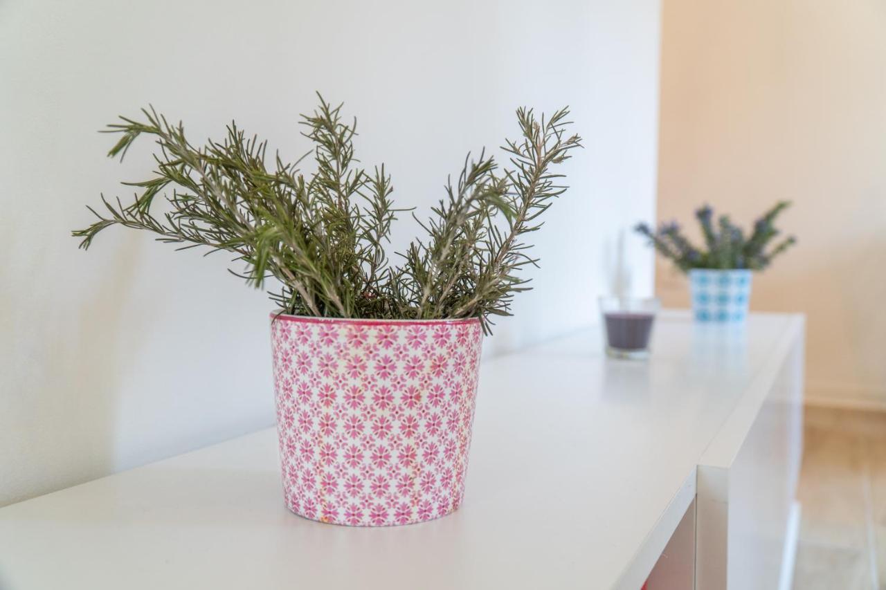 Apartman Soto Pirovac Esterno foto