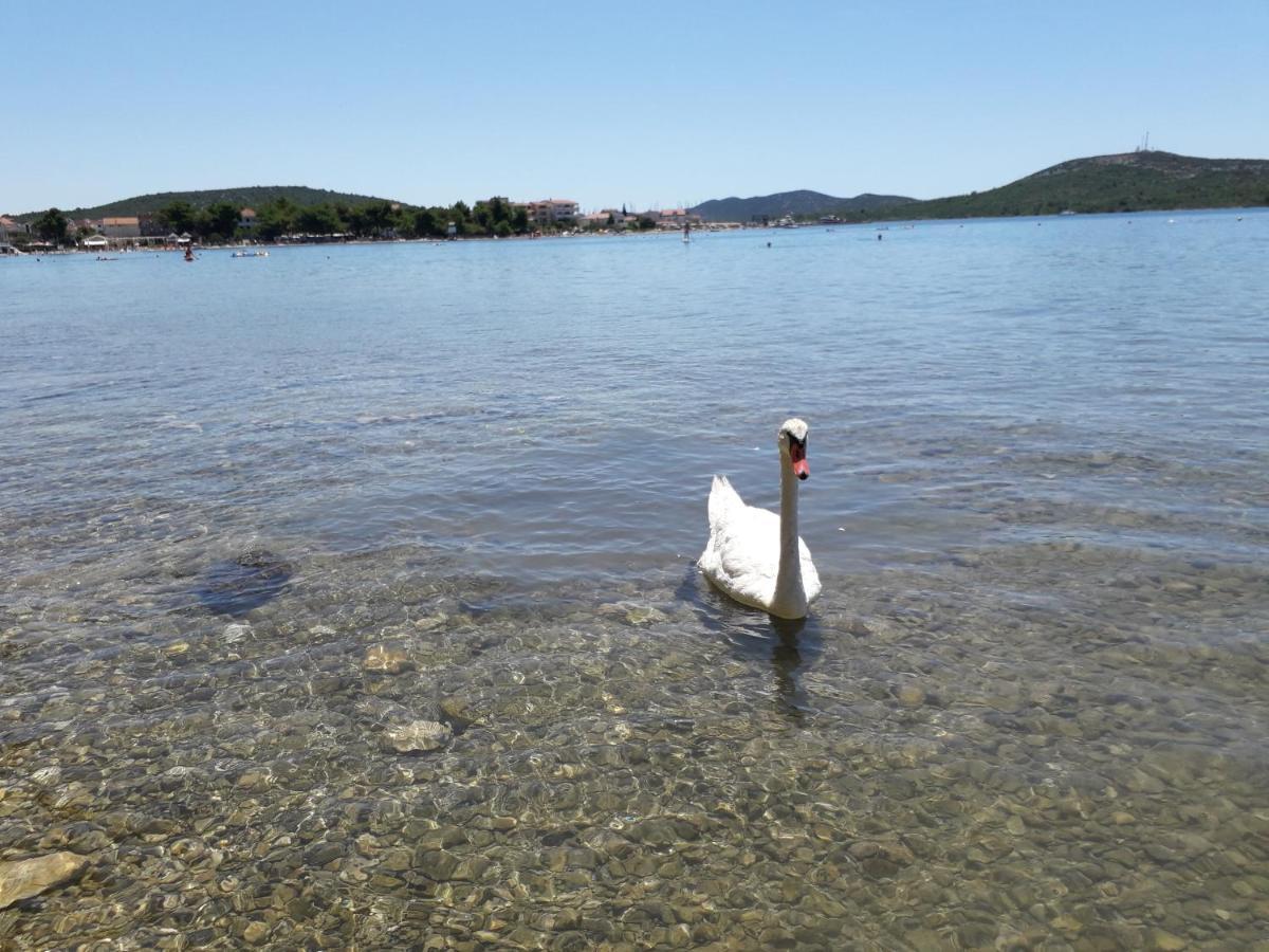 Apartman Soto Pirovac Esterno foto